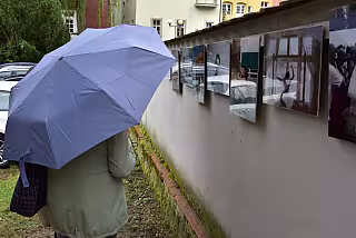 Výstava