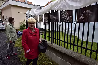 Návštěvníci na výstavě za nepříznivého počasí