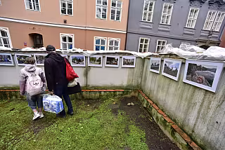 výstava