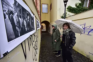 Výstava a návštěvníci