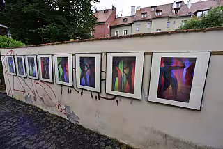 Výstava 